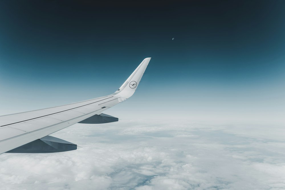Flights home